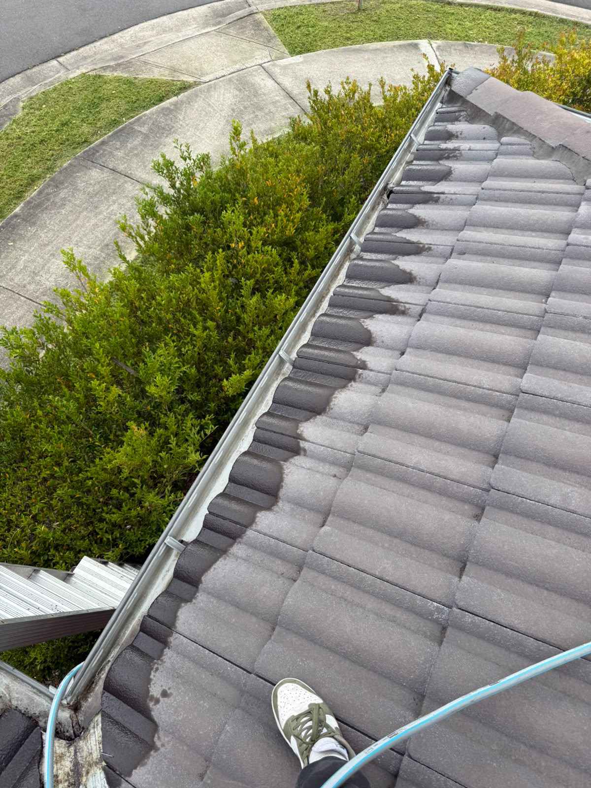 Roof and gutter cleaning